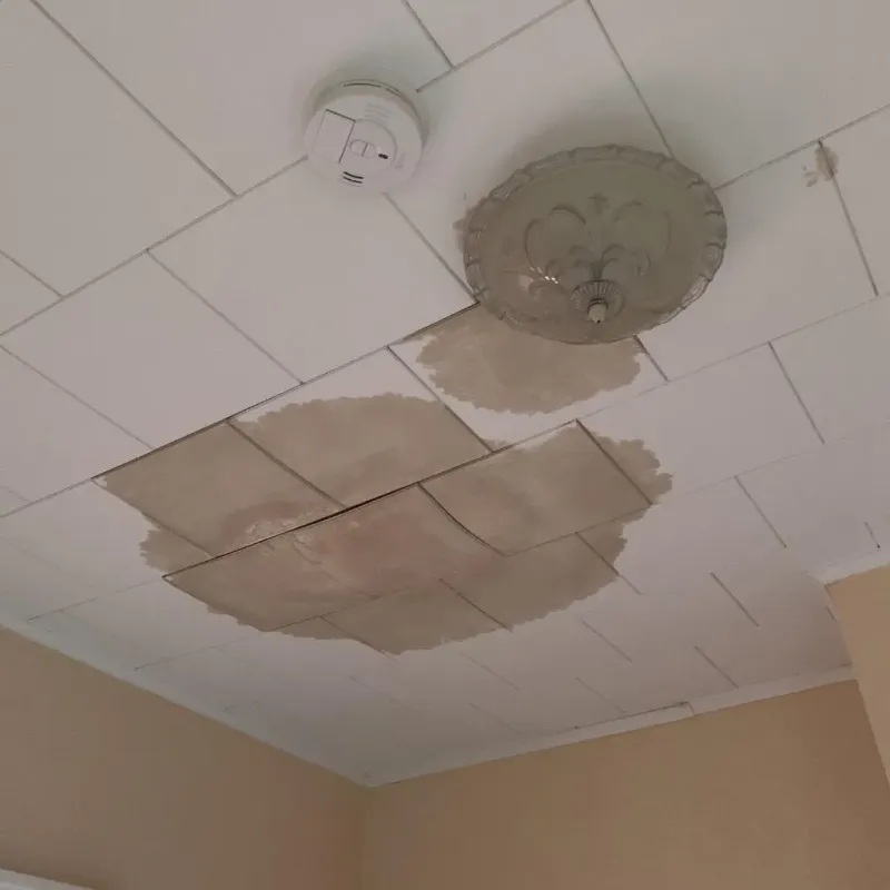 Ceiling Water Damage Repair in City of Harrisonburg, VA