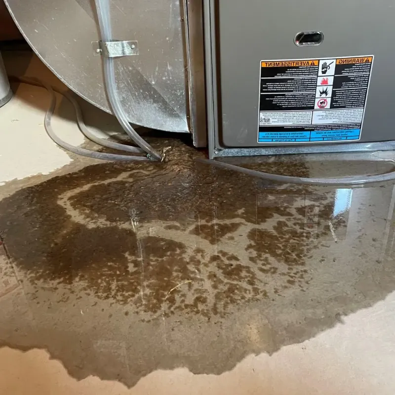 Pipe Burst and Leak Restoration in City of Harrisonburg, VA