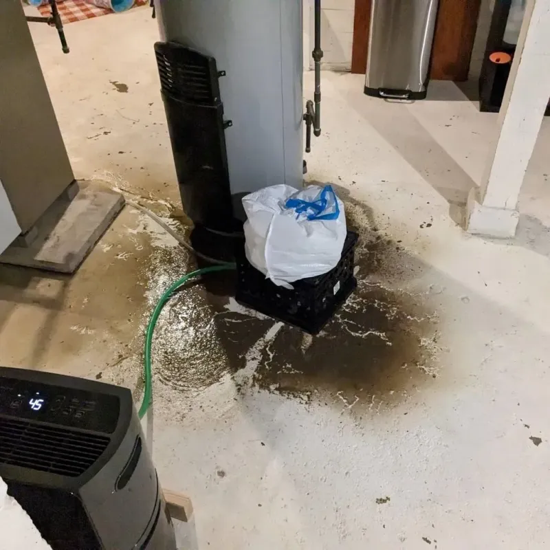 Sewage Backup Cleanup Service in City of Harrisonburg, VA